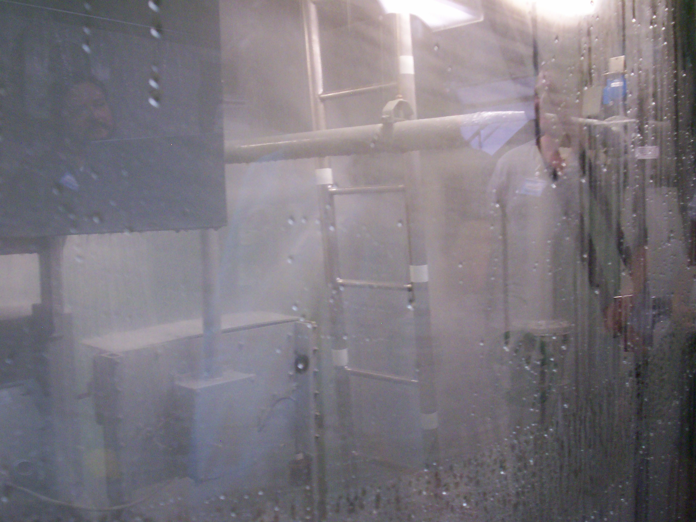 Reunion 2011 (B. Miller)