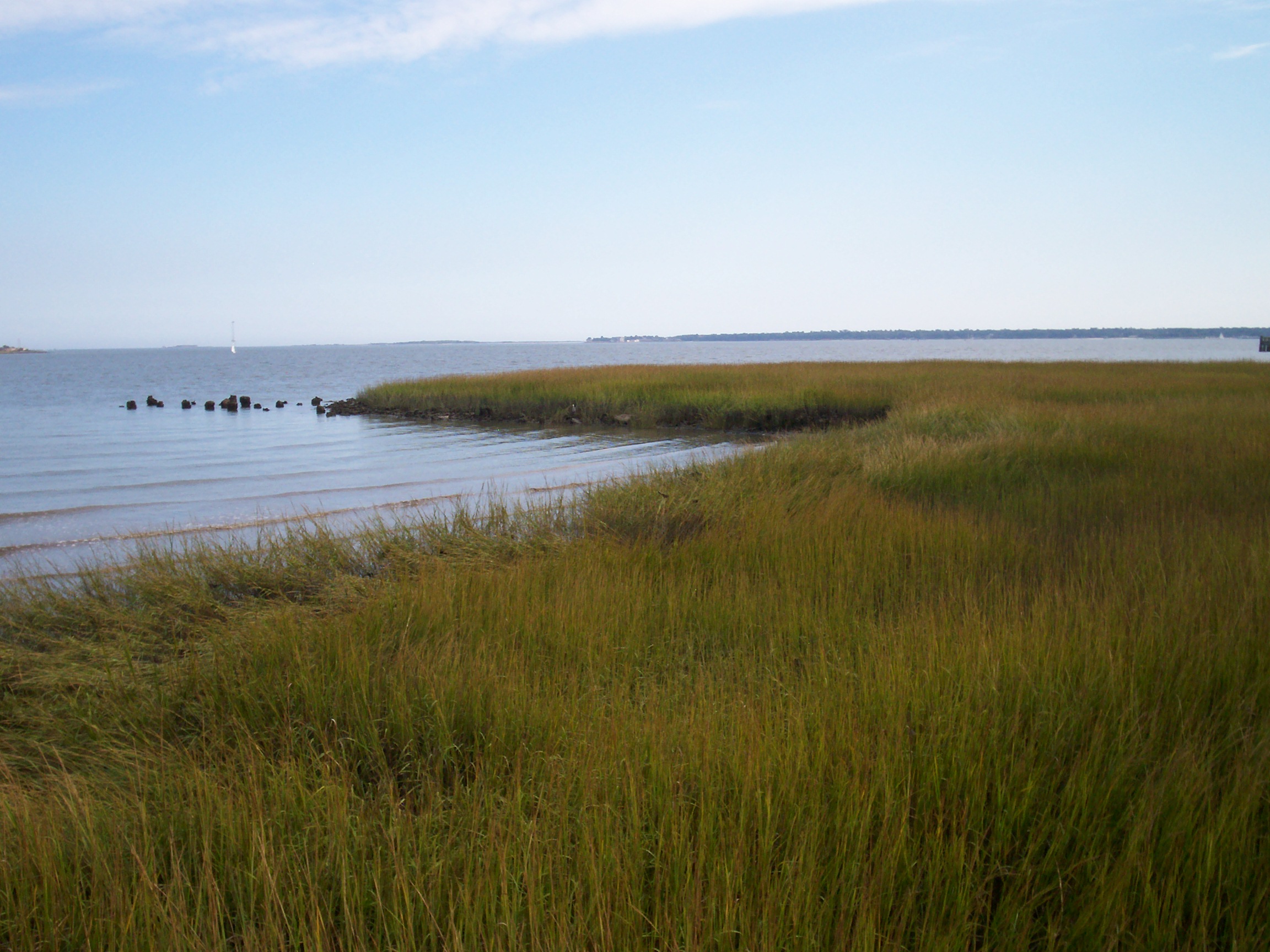 Reunion 2013 (B. Miller)